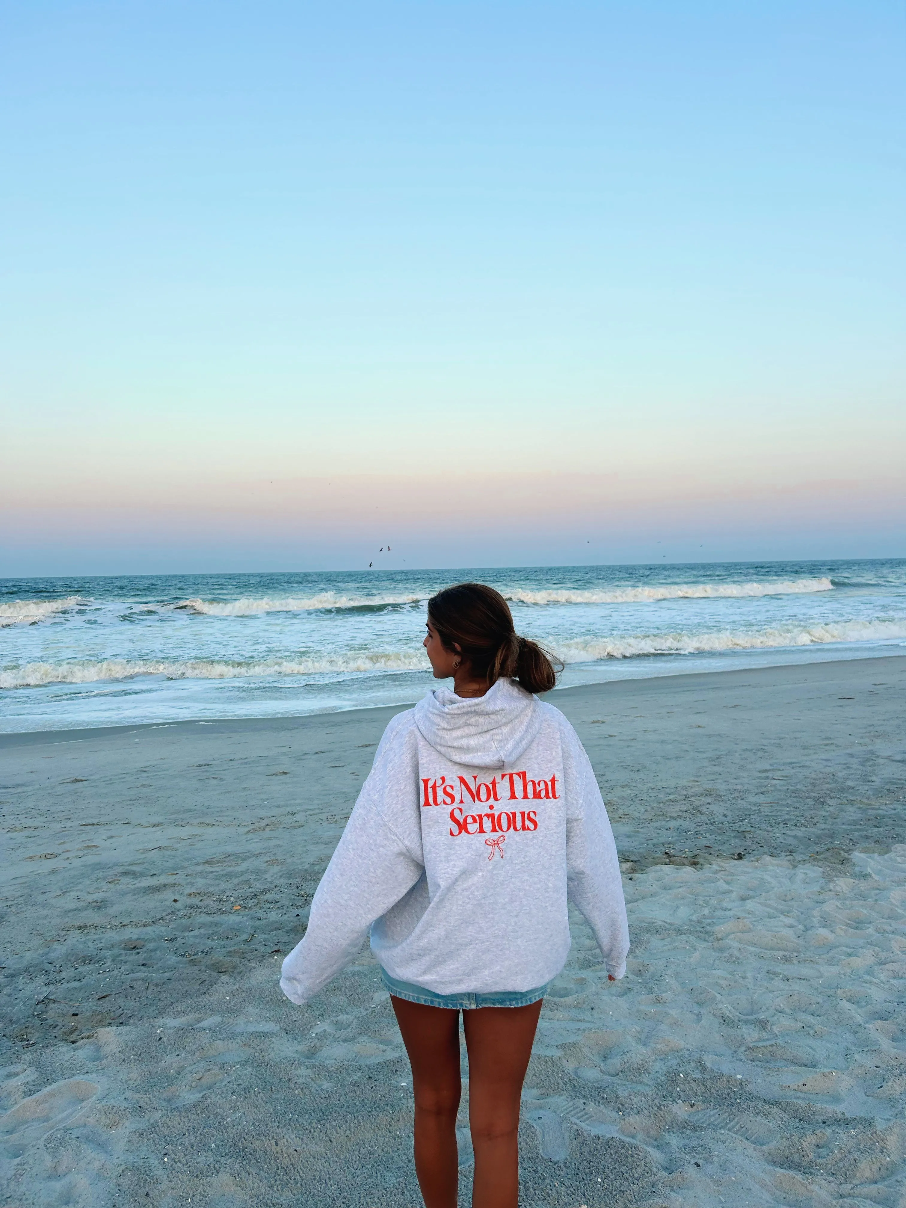IT'S NOT THAT SERIOUS HOODIE