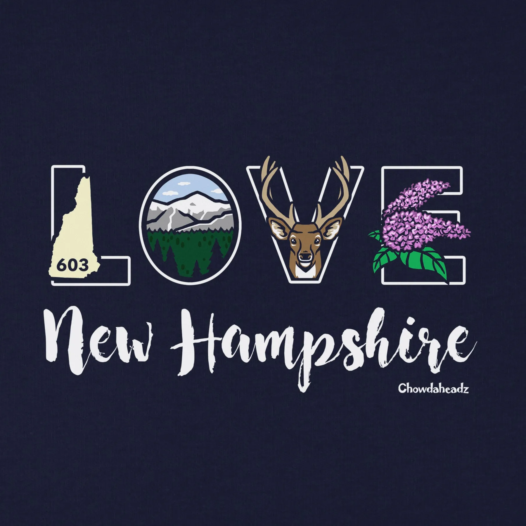 Lifestyle Love New Hampshire Youth Hoodie