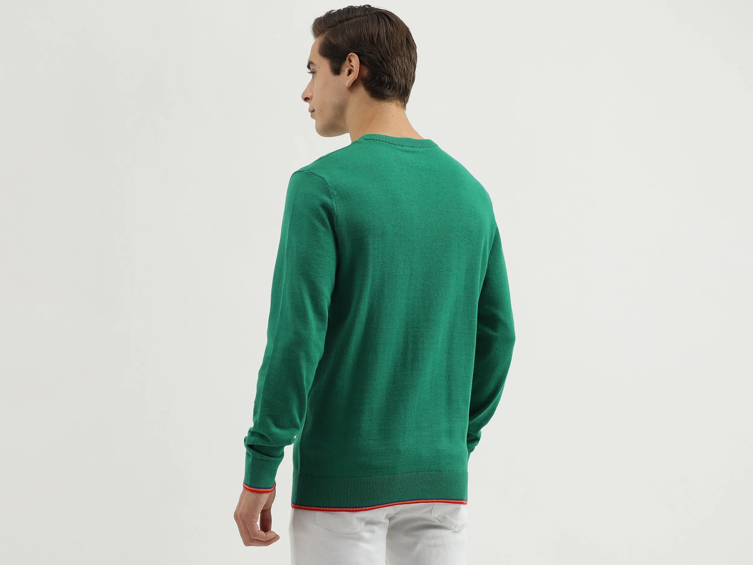 Men's Regular Fit Crew Neck Knitted Sweater