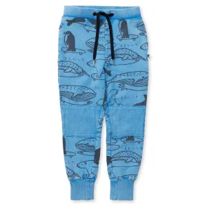 Surf Skate Animals Trackies