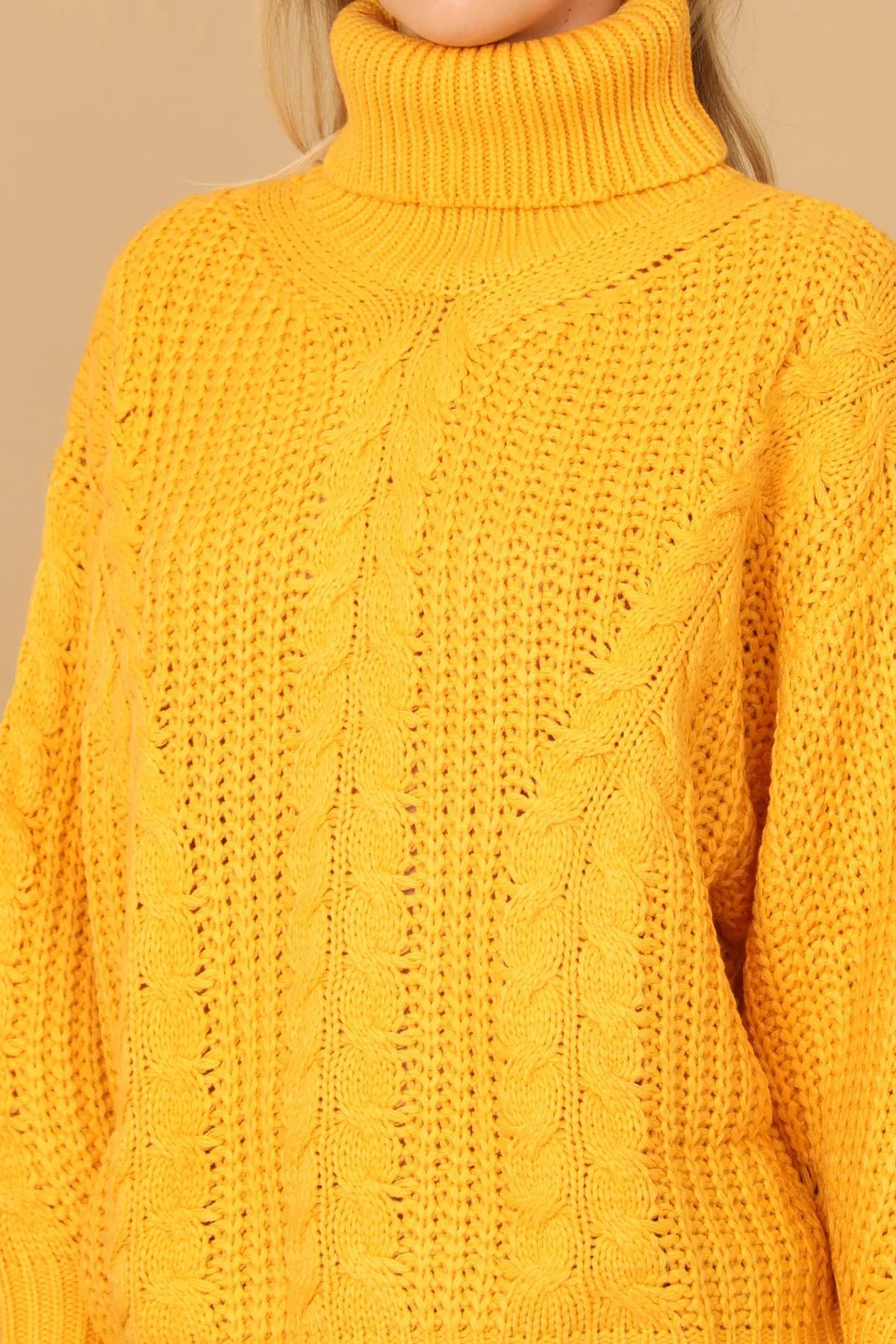 TURTLE NECK KNITTED SWEATER