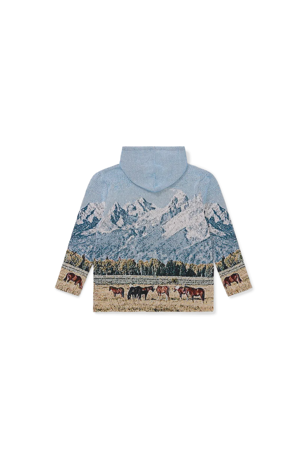 Wild western hoodie